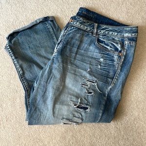Lane Bryant Blue Distressed Jeans